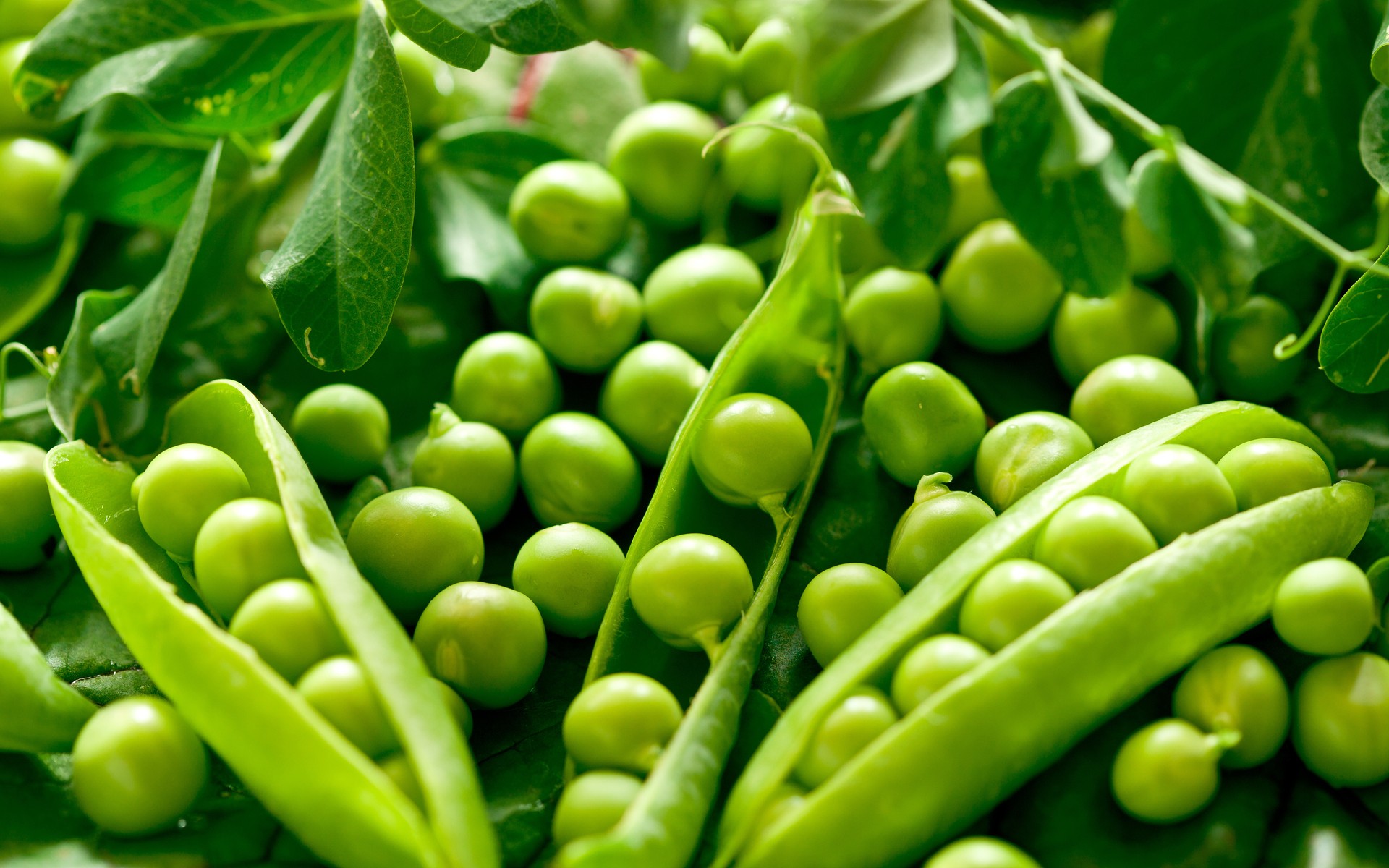 Green-vegetables-peas-HD-wallpaper.jpg